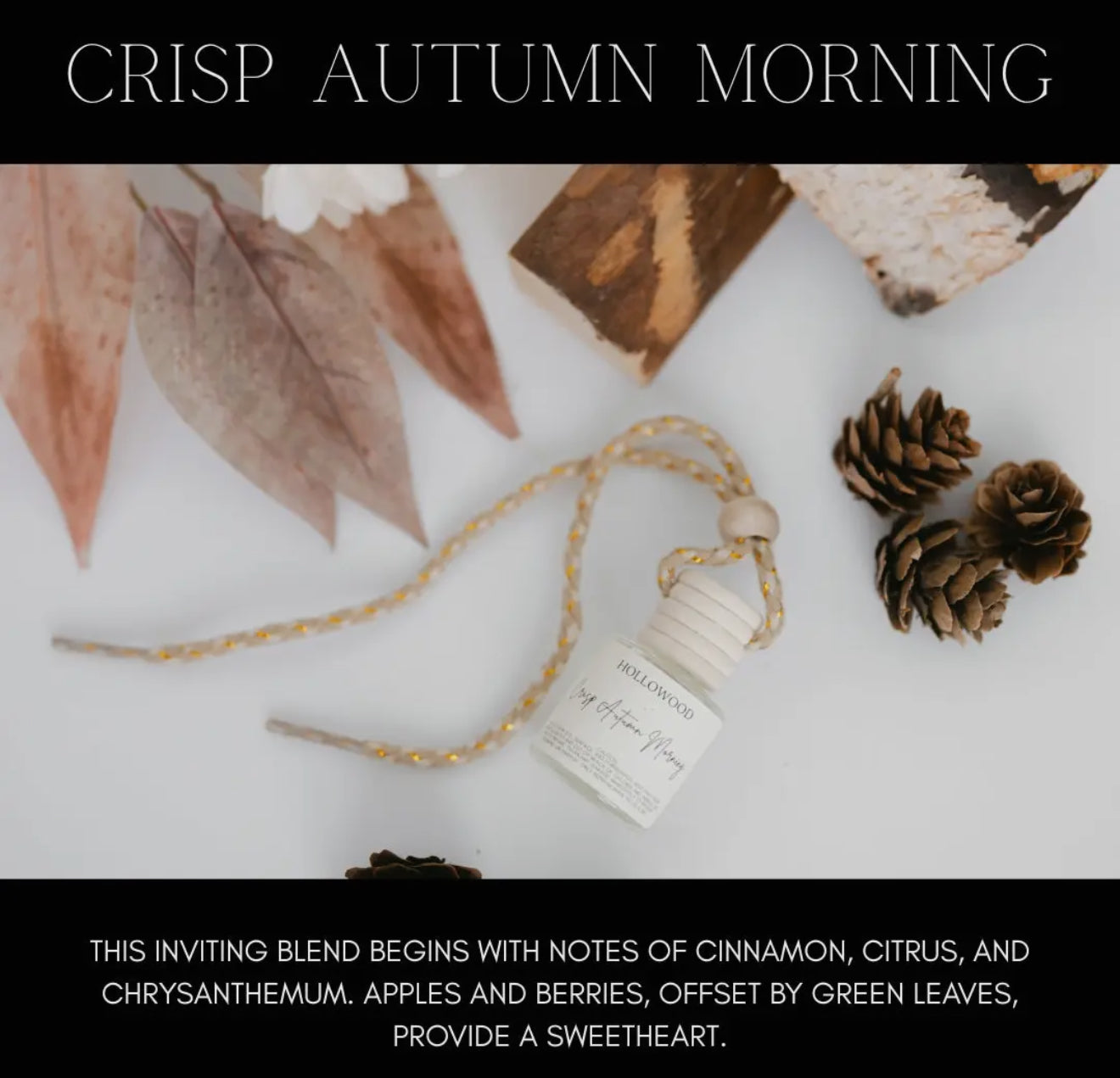 Fall Car Diffusers RGK RTS